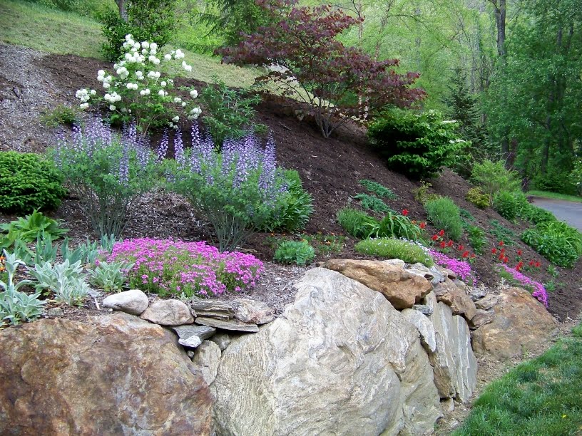Low Maintenance Gardening