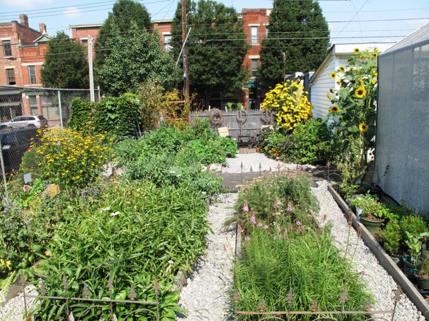 Maximize your Garden