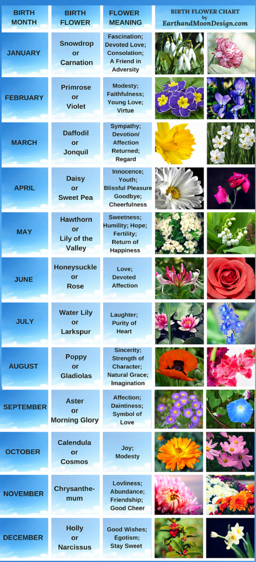 Korean Birth Flower Chart