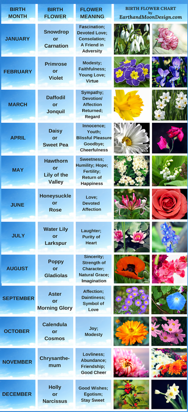 Birth Flower Chart By Ridgeview