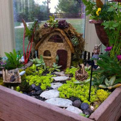 Whimsical Miniature Gardens - Ridgeview