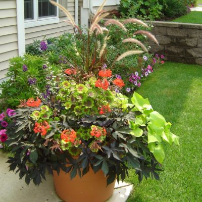 Structure of a Container Garden - Ridgeview