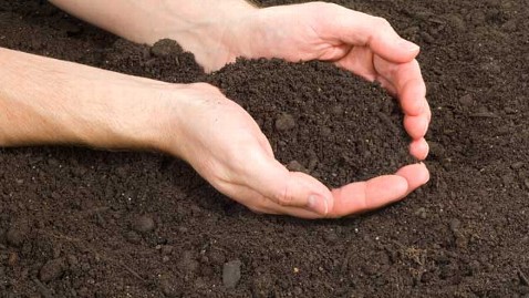 Soil Remediation for Veggie Gardens