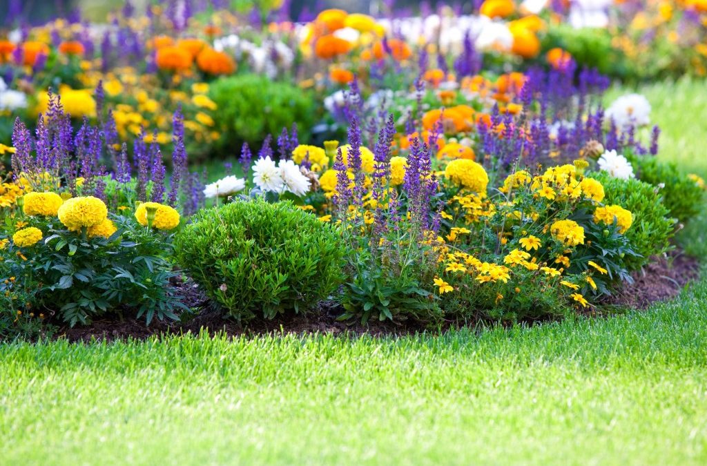 It’s not too late to plant!
