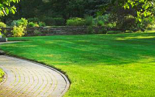 6 Tips to a Greener Lawn