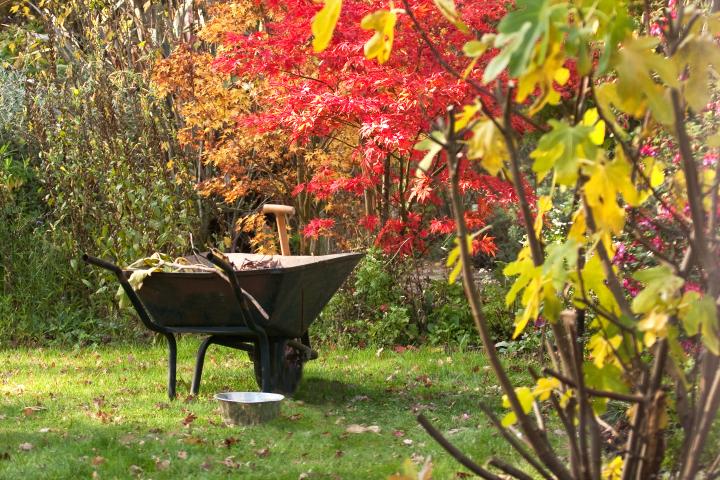 Why fall is a great time to plant