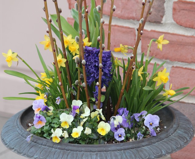 Spring Container Planting