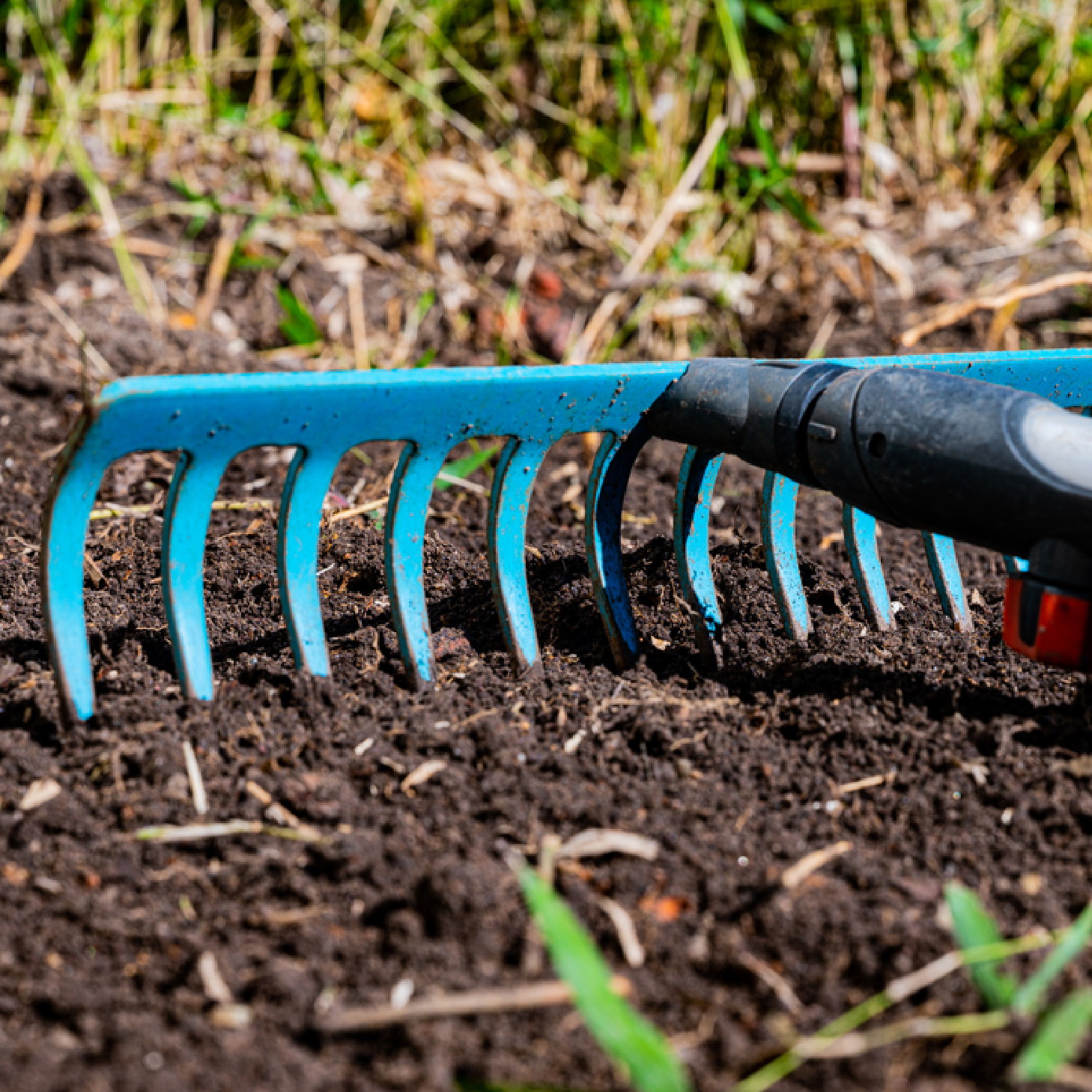 Winterizing your Vegetable Bed