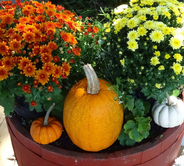 Fall Planters and Gardening