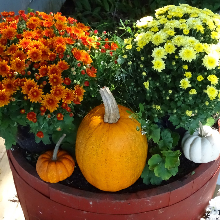 Fall arrangement
