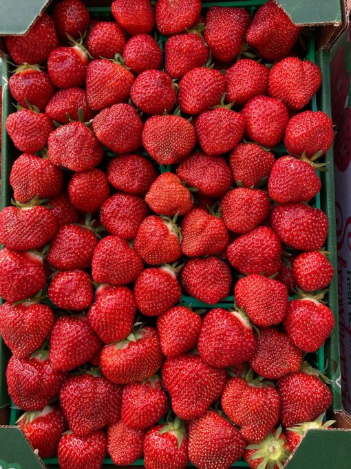Strawberries