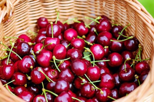 Sweet Cherries